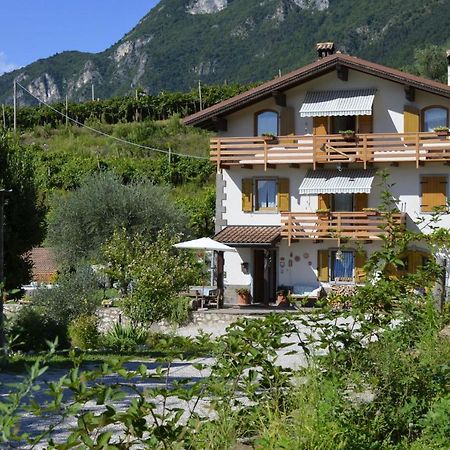 Ca Ulivi Bed & Breakfast Ala Bagian luar foto