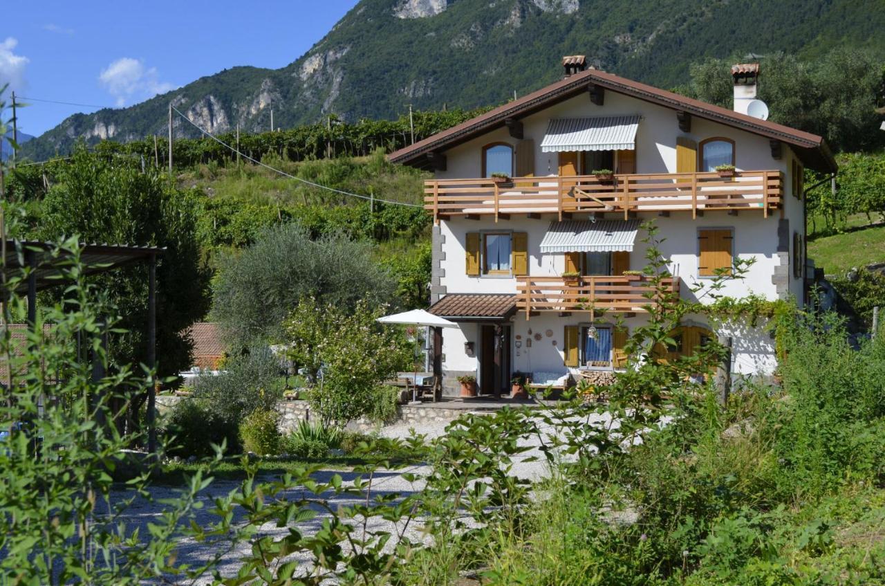 Ca Ulivi Bed & Breakfast Ala Bagian luar foto