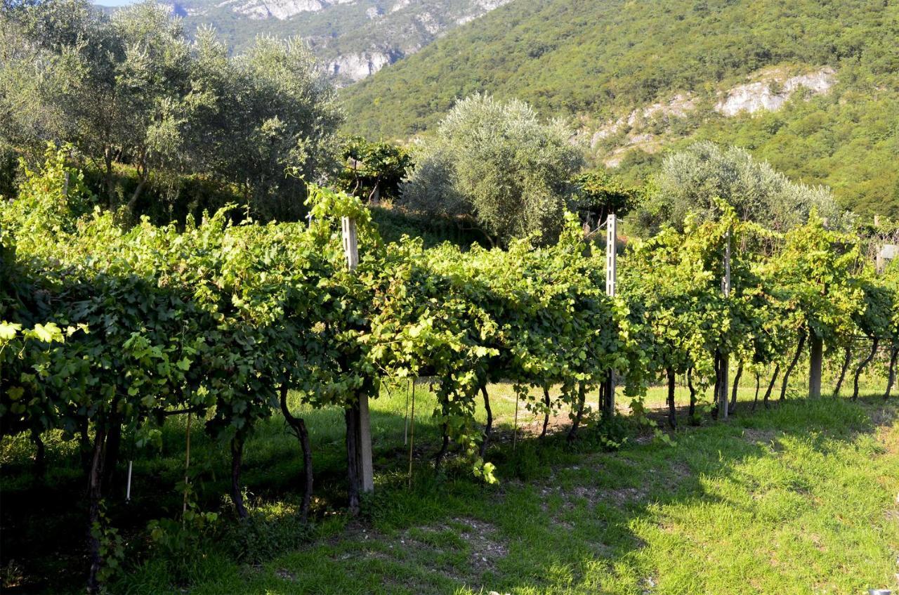 Ca Ulivi Bed & Breakfast Ala Bagian luar foto