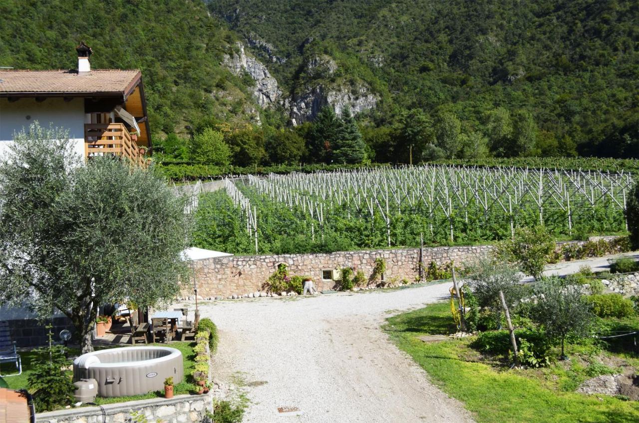 Ca Ulivi Bed & Breakfast Ala Bagian luar foto
