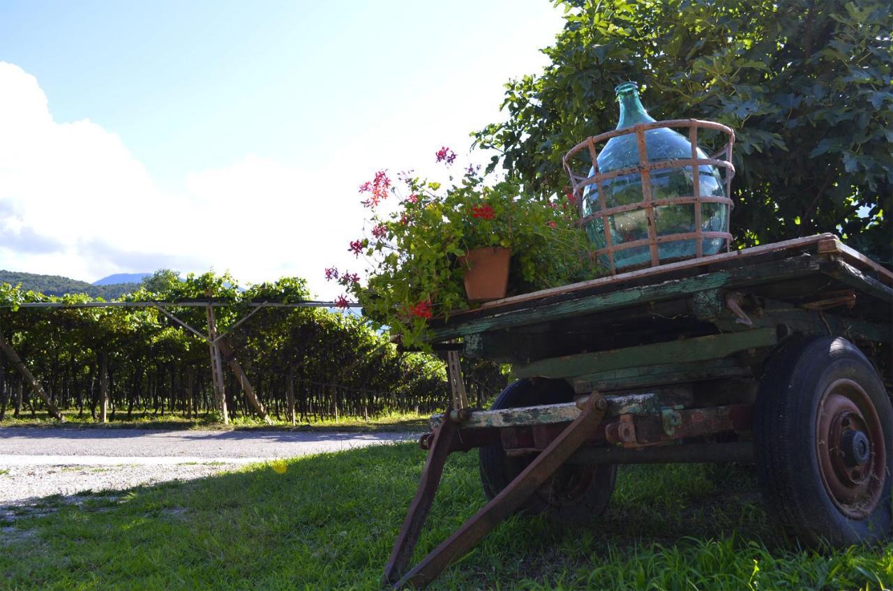 Ca Ulivi Bed & Breakfast Ala Bagian luar foto