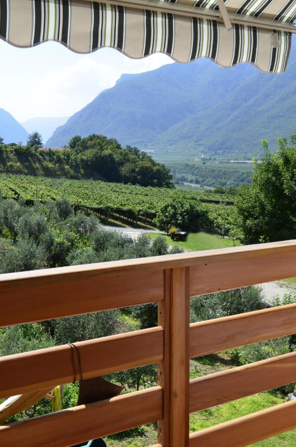 Ca Ulivi Bed & Breakfast Ala Bagian luar foto