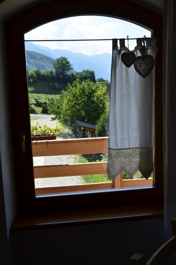 Ca Ulivi Bed & Breakfast Ala Bagian luar foto